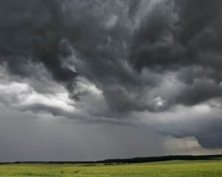 Au coeur de la tempête